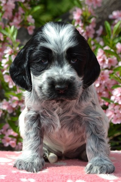 22 - Lady Abigail.JPG